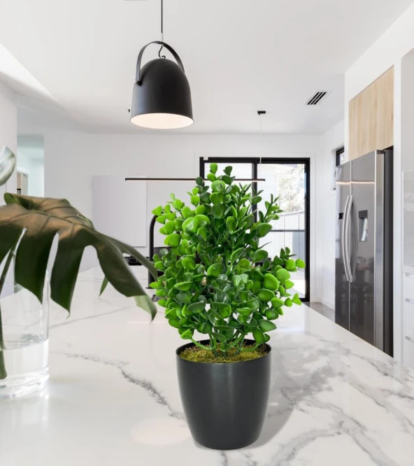 Nettenevime Yapay Çiçek Siyah Saksıda Jumbo Şimşir Dekoratif Süs Çiçeği - Resim 6