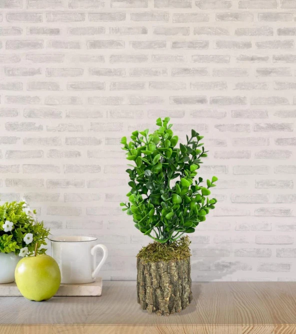 Nettenevime Yapay Çiçek Doğal Kütük Odun Saksıda Jumbo Şimşir Okaliptus Masa Çiçeği - Resim 3