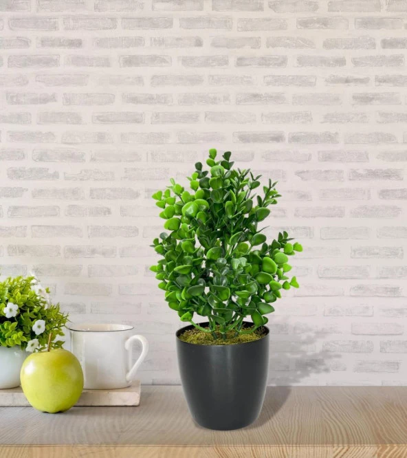 Nettenevime Yapay Çiçek Siyah Saksıda Jumbo Şimşir Dekoratif Süs Çiçeği - Resim 7