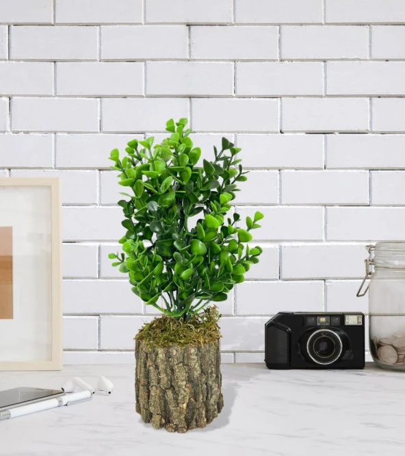 Nettenevime Yapay Çiçek Doğal Kütük Odun Saksıda Jumbo Şimşir Okaliptus Masa Çiçeği - Resim 4