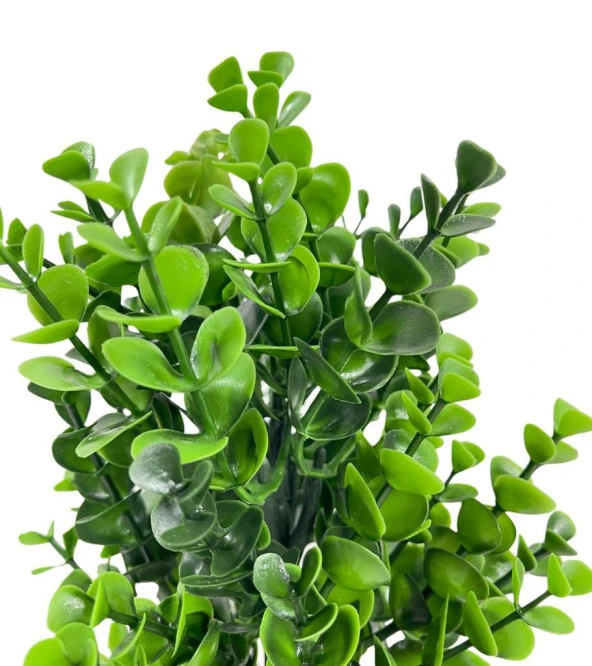 Nettenevime Yapay Çiçek Doğal Kütük Odun Saksıda Jumbo Şimşir Okaliptus Masa Çiçeği - Resim 7