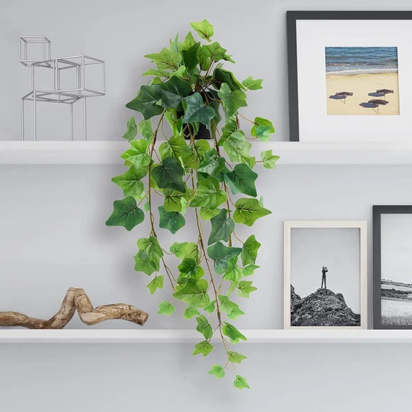 Nettenevime Yapay Çiçek Saksıda Sarkan Dev Hedera 80cm Yapay Sarmaşık Yeşil - Resim 4
