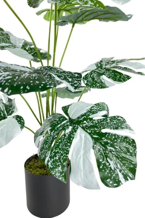 Yapay Çiçek Saksıda Monstera Yeşil Beyaz Deve Tabanı 12Dal 70cm Salon Çiçeği Yapay Bitki - 3