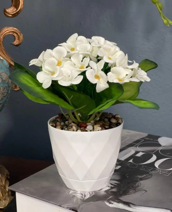 Nettenevime Yapay Çiçek Kadife Menekşe Gerçekçi Doku Beyaz Saksıda Çakıl Taşlı BEYAZ - Resim 2