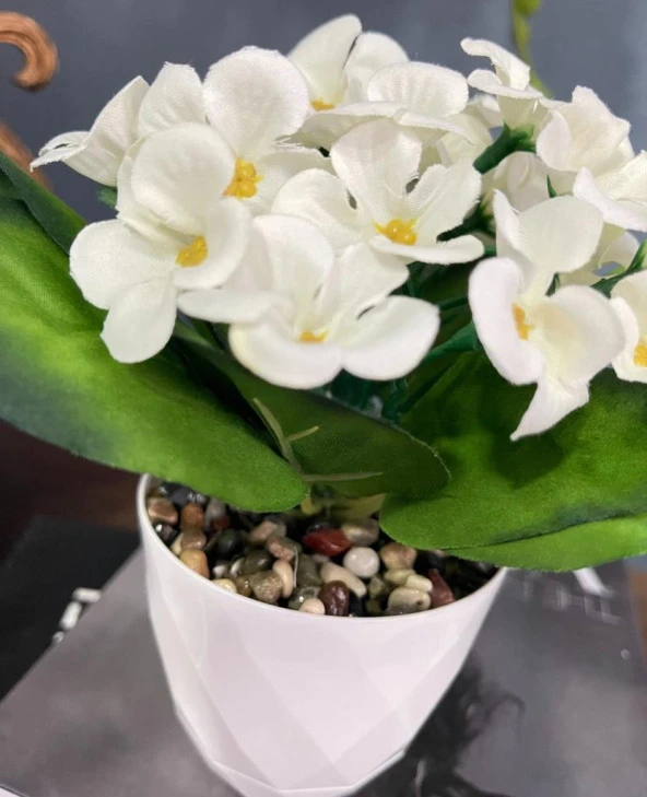 Nettenevime Yapay Çiçek Kadife Menekşe Gerçekçi Doku Beyaz Saksıda Çakıl Taşlı BEYAZ - Resim 6