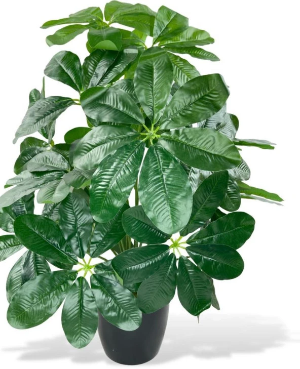 Yapay Çiçek Saksıda Şeflera Bitkisi 18Dal 75cm Salon Çiçeği Yapay Bitki Pachira Macrocarpa - 5