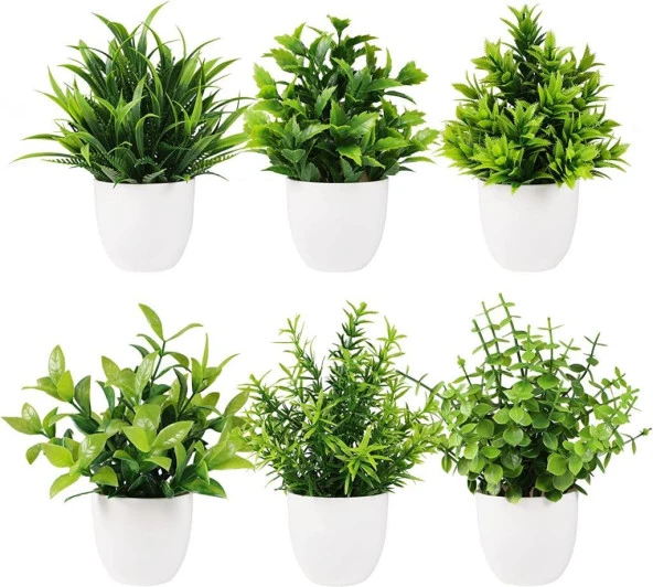 Nettenevime 6lı Set Yapay Çiçek Beyaz Saksıda 6 Çeşit Yeşil Bitki