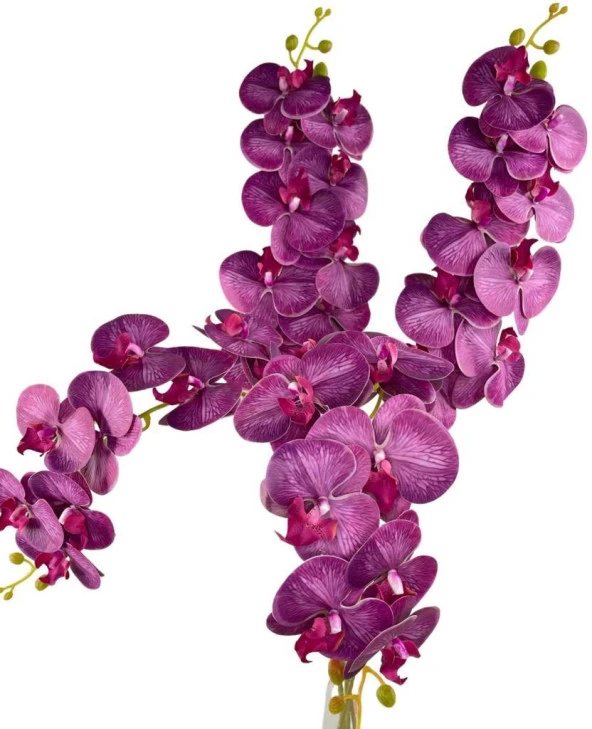 Nettenevime Yapay Çiçek Fuşya Damarlı Islak Orkide Uzun Dal 90 cm Orkide - Resim 2