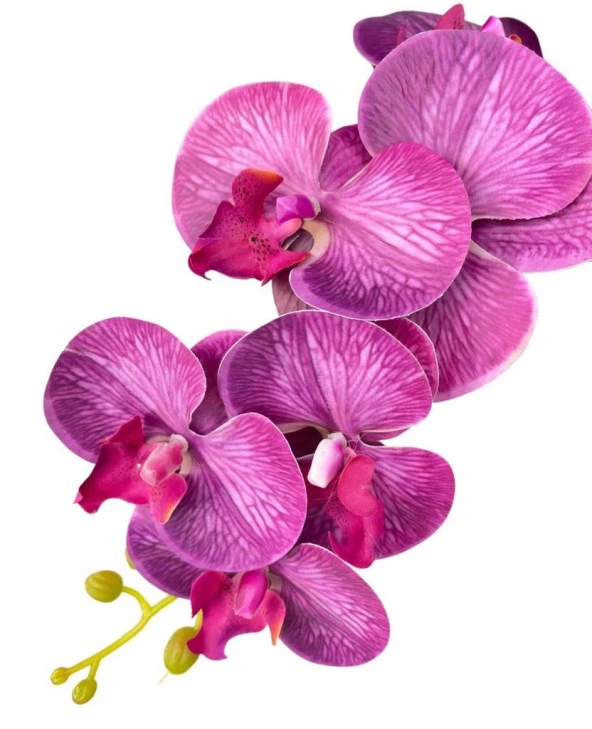 Nettenevime Yapay Çiçek Fuşya Damarlı Islak Orkide Uzun Dal 90 cm Orkide - Resim 3