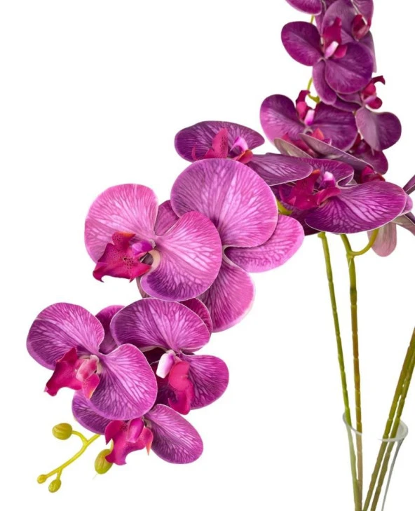 Nettenevime Yapay Çiçek Fuşya Damarlı Islak Orkide Uzun Dal 90 cm Orkide - Resim 5