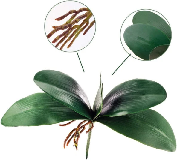 Nettenevime 3lü Set Yapay Çiçek Orkide Yaprağı Doğal Görünüm - Resim 2