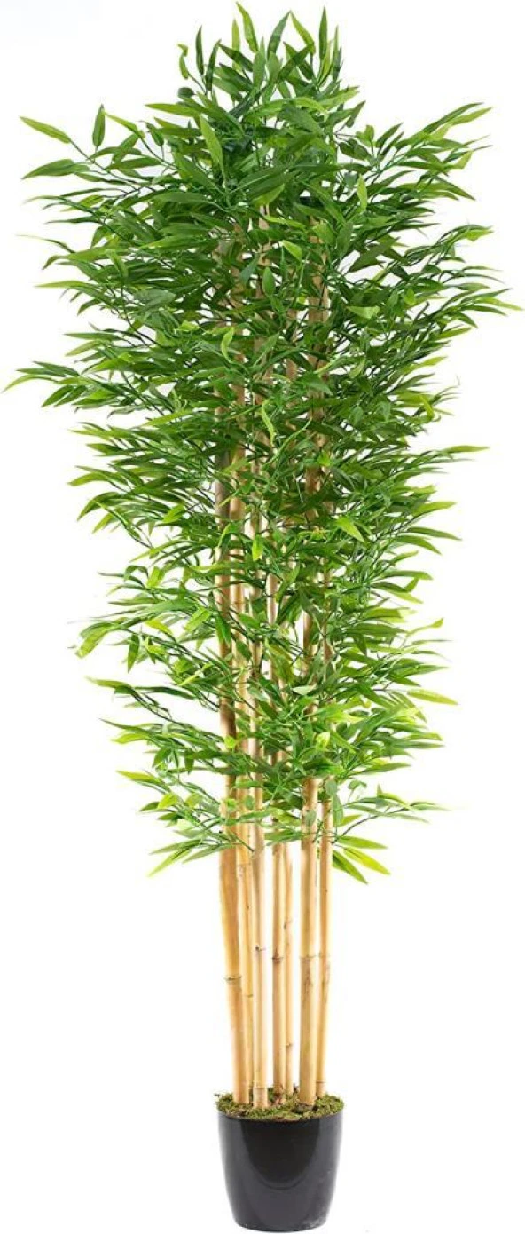 Nettenevime Yapay Bambu Ağacı 210cm Siyah Saksılı 7 dallı ürün görseli