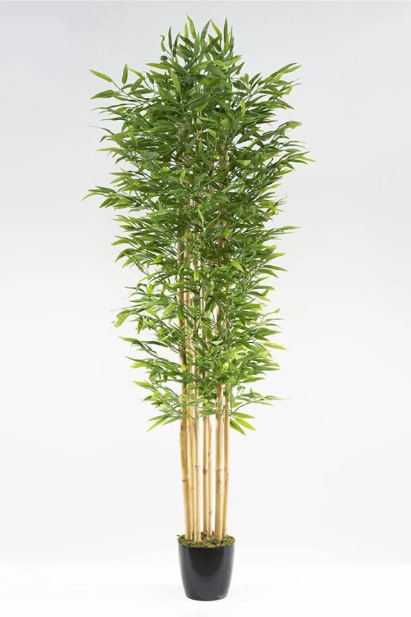 Nettenevime Yapay Bambu Ağacı 210cm Siyah Saksılı 7 dallı - Resim 2