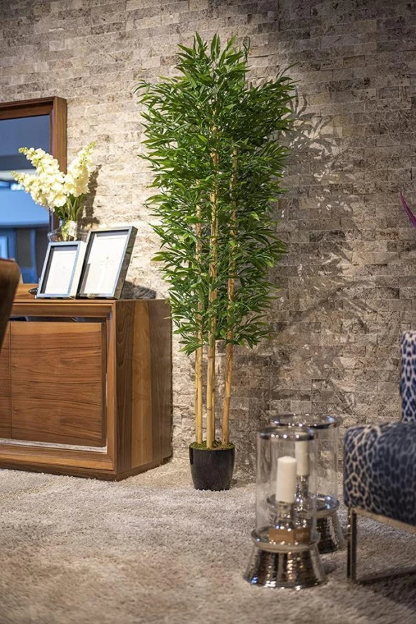 Nettenevime Yapay Bambu Ağacı 210cm Siyah Saksılı 7 dallı - Resim 6