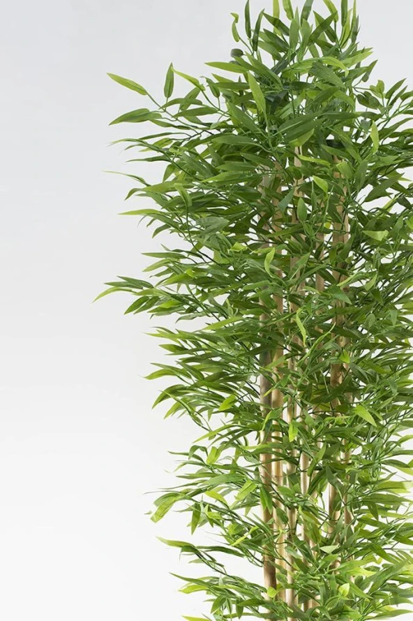 Nettenevime Yapay Bambu Ağacı 210cm Siyah Saksılı 7 dallı - Resim 8