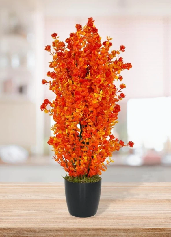 Nettenevime Yapay Çiçek Siyah Saksıda Turuncu Şimşir Ağacı 55cm - Resim 2