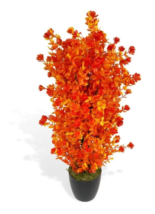 Nettenevime Yapay Çiçek Siyah Saksıda Turuncu Şimşir Ağacı 55cm - Resim 5