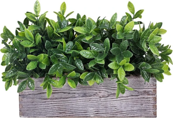 Nettenevime Yapay Çiçek Yeşil Nane Demeti 5dal Garnitür Aradal Dekoratif Yapay Bitki - Resim 7