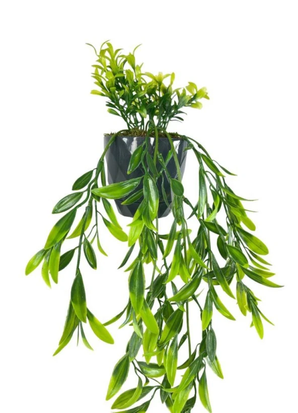 Nettenevime Yapay Çiçek Sarkan Fesleğen Yapraklı Bitki Küçük Siyah Saksıda Yapay Sarmaşık 55cm - Resim 7