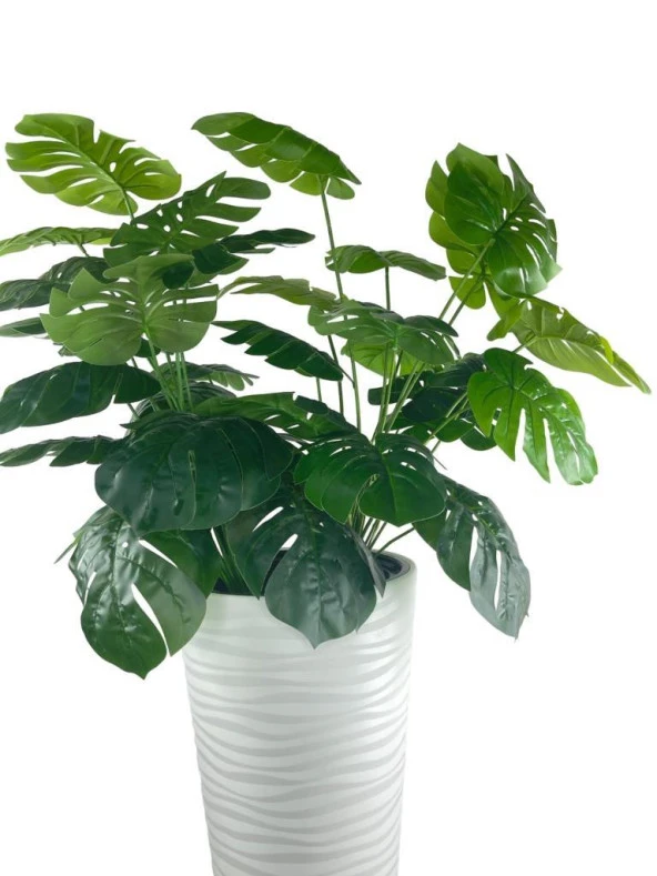 Nettenevime Yapay Monstera Beyaz Uzun Kumsal Vazoda 120cm 36Yaprak - 4