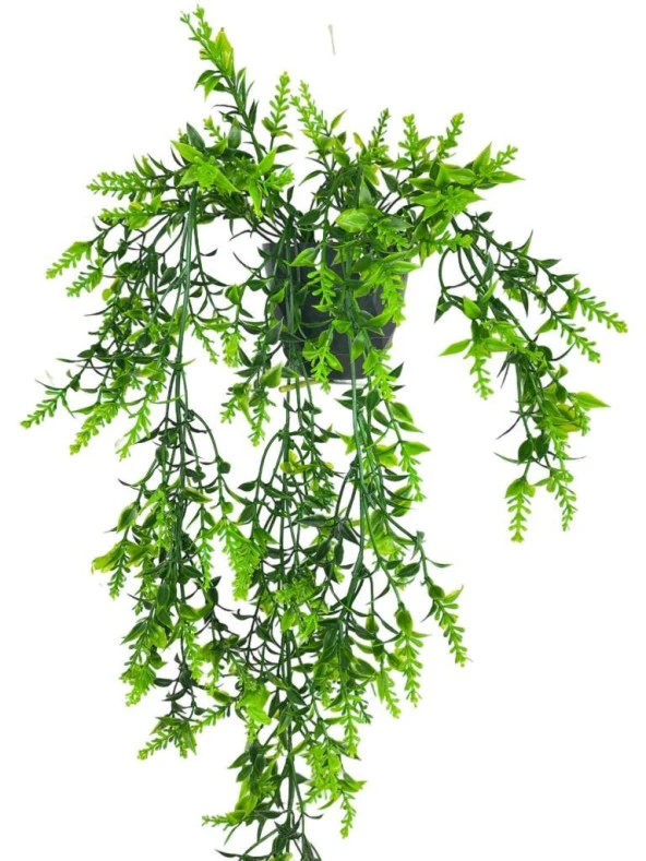 Nettenevime Yapay Çiçek Siyah Saksıda Sarkan ty60 Yeşil Bitki Yapay Sarmaşık 60cm - Resim 4