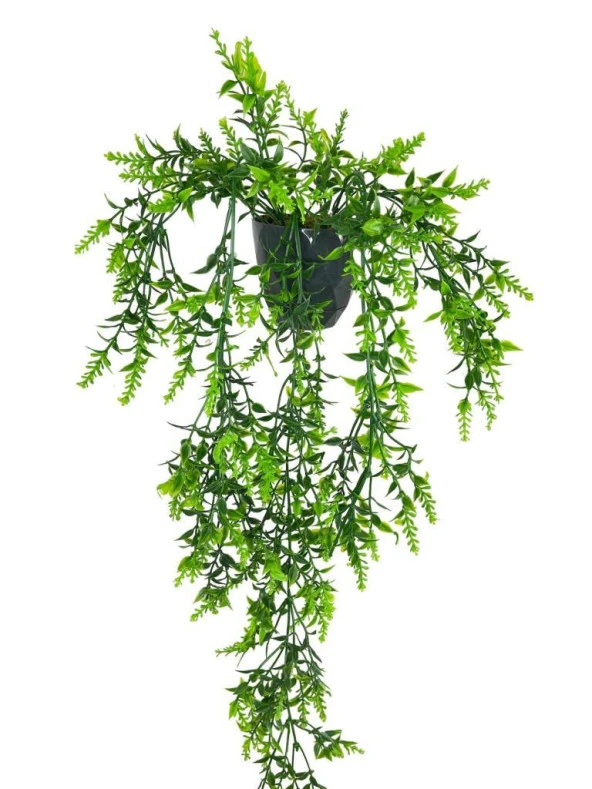Nettenevime Yapay Çiçek Siyah Saksıda Sarkan ty60 Yeşil Bitki Yapay Sarmaşık 60cm - Resim 5
