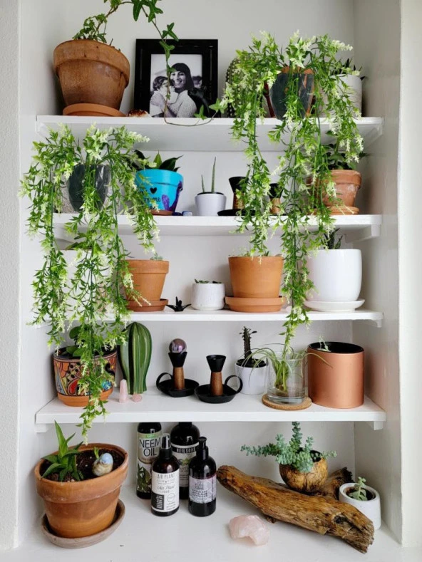 Nettenevime Yapay Çiçek Siyah Saksıda Sarkan ty60 Yeşil Beyaz Bitki Yapay Sarmaşık 60cm - 7