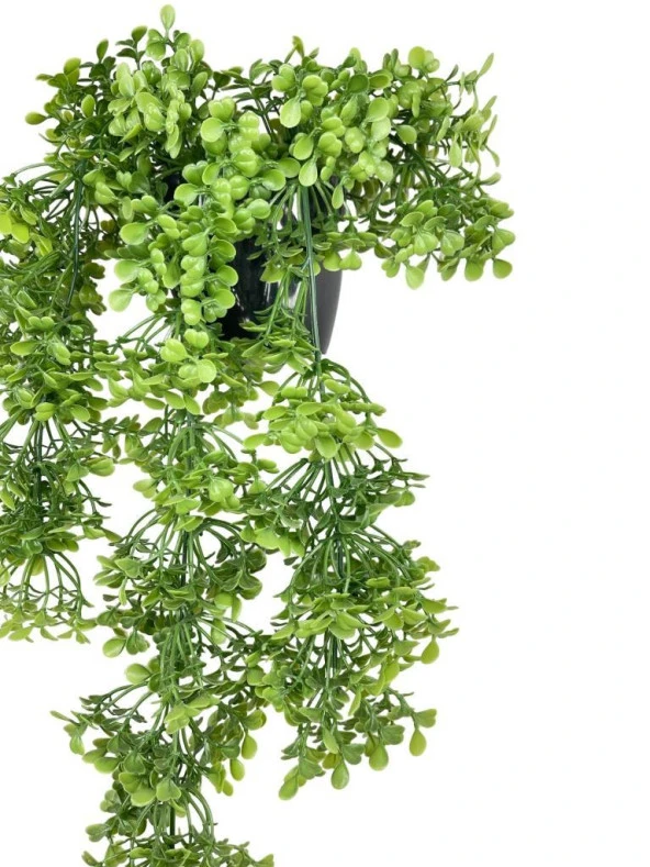 Nettenevime Yapay Çiçek Saksıda Sarkan Yeşil Fare Kulağı Şimşir Yapay Sarmaşık Pastel 50cm - Resim 5