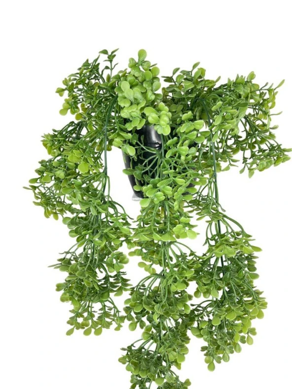 Nettenevime Yapay Çiçek Saksıda Sarkan Yeşil Fare Kulağı Şimşir Yapay Sarmaşık Pastel 50cm - Resim 6