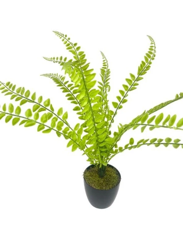 Yapay Çiçek Islak Sıkas Yukka 15yaprak 50cm Salon Çiçeği Plastik Siyah Saksılı Yapay Bitki - 4