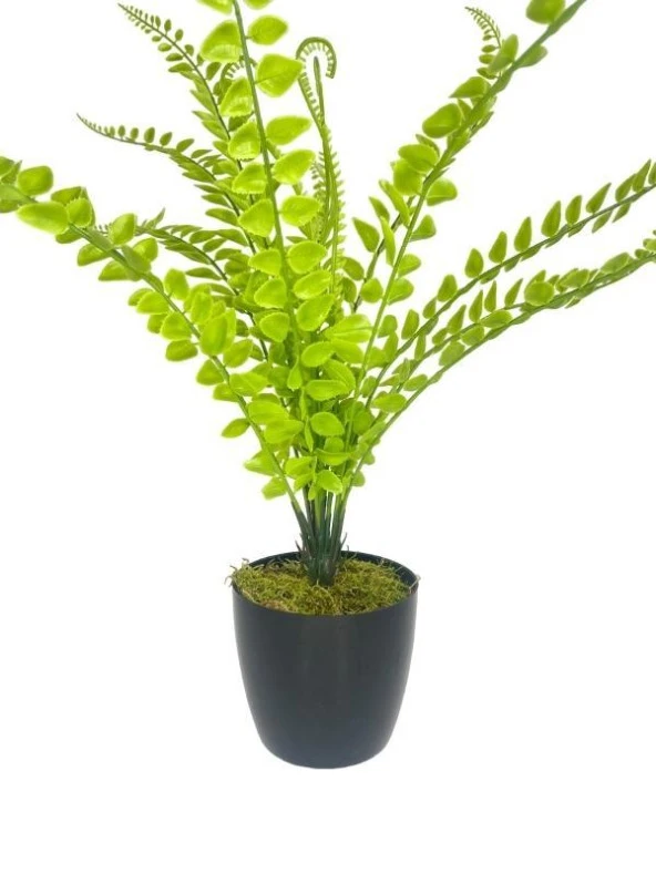 Yapay Çiçek Islak Sıkas Yukka 15yaprak 50cm Salon Çiçeği Plastik Siyah Saksılı Yapay Bitki - 6