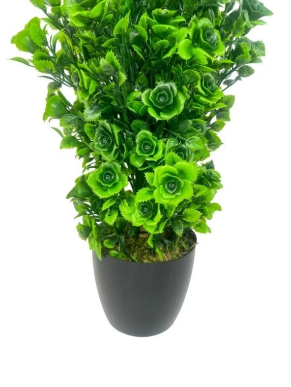 Nettenevime Yapay Çiçek Siyah Saksıda Güllü Yeşil Şimşir Ağacı 55cm - Resim 3