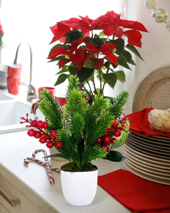 Nettenevime Yapay Çiçek Yılbaşı Çiçeği Kırmızı Kokina Ve Çam Dalı  Beyaz aksıda 30*20cm - Resim 4