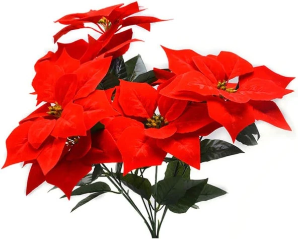 Nettenevime Yapay Çiçek Atatürk Çiçeği Kırmızı Demet Kadife Dokulu Christmas Flower - 6