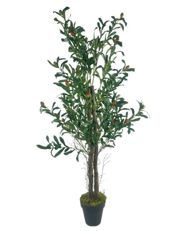 Nettenevime Yapay Zeytin Ağacı 125cm İki Gövdeli Salex Doğal Gerçek Görünümlü Yapay Ağaç - Resim 2