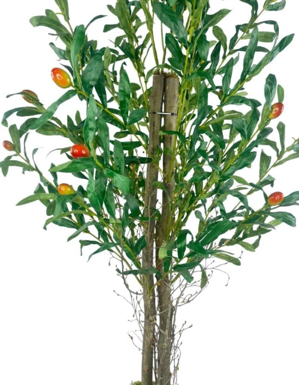 Nettenevime Yapay Zeytin Ağacı 125cm İki Gövdeli Salex Doğal Gerçek Görünümlü Yapay Ağaç - Resim 9