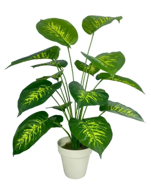 Nettenevime Yapay Çiçek Difenbahya Tropik Salon Çiçeği Beyaz Saksılı Yapay Bitki - 2