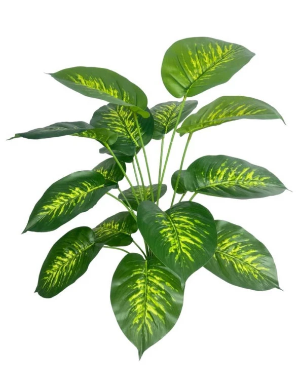 Nettenevime Yapay Çiçek Difenbahya Tropik Salon Çiçeği Beyaz Saksılı Yapay Bitki - 5