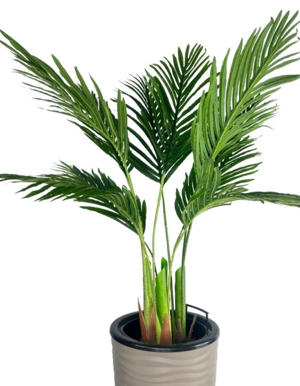 Nettenevime Yapay Areka Palmiye Ağacı Dore Kumsal Vazoda Yapay Ağaç 150cm 10 Yaprak - Resim 3