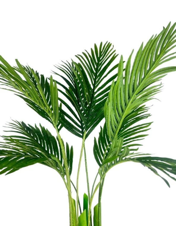 Nettenevime Yapay Areka Palmiye Ağacı Dore Kumsal Vazoda Yapay Ağaç 150cm 10 Yaprak - Resim 6