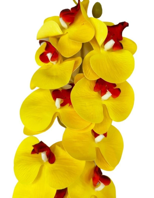 Yapay Çiçek Sarı Kırmızı Islak Orkide Gerçeksi Doku Uzun Dal 90 cm - 3