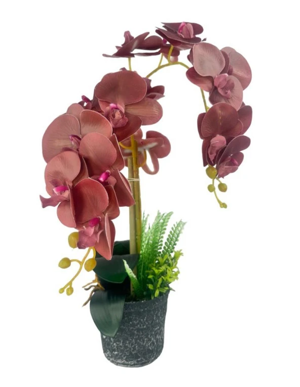 Nettenevime Yapay Çiçek 2li Islak Pastel Bordo Orkide Seramik Saksıda Orkide 60cm