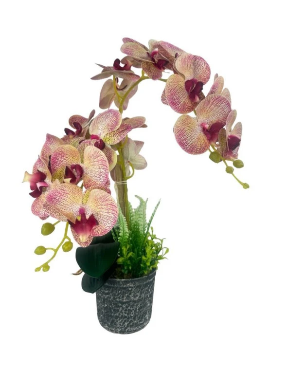 Nettenevime Yapay Çiçek 2li Pembe Damarlı Islak Orkide Seramik Saksıda Orkide 60cm ürün görseli 1