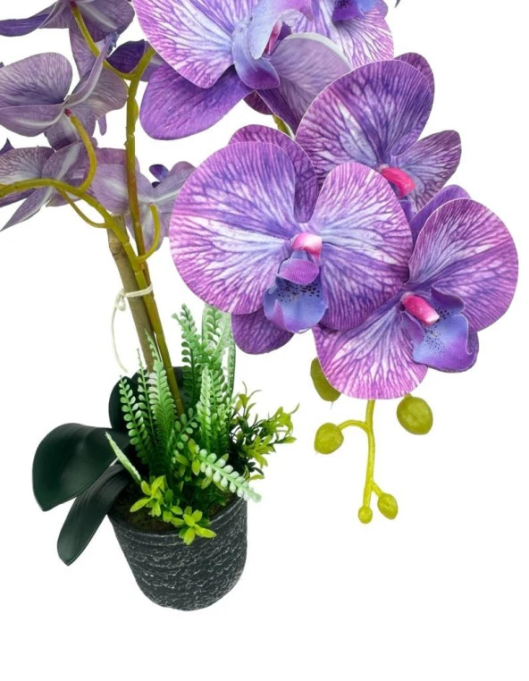 Nettenevime Yapay Çiçek 2li Lila Damarlı Islak Orkide Seramik Saksıda Orkide 60cm - 4