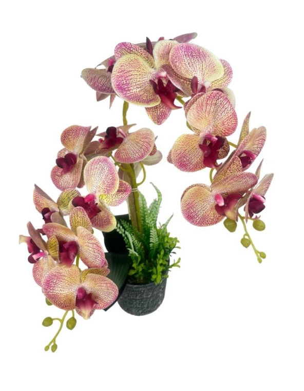 Nettenevime Yapay Çiçek 2li Pembe Damarlı Islak Orkide Seramik Saksıda Orkide 60cm - Resim 2