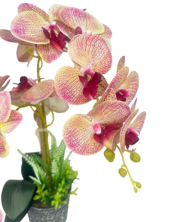 Nettenevime Yapay Çiçek 2li Pembe Damarlı Islak Orkide Seramik Saksıda Orkide 60cm - Resim 3