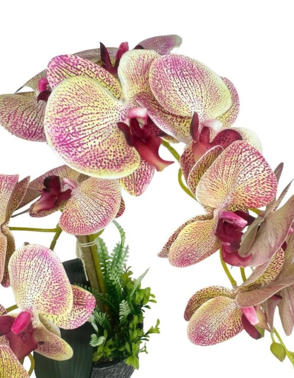 Nettenevime Yapay Çiçek 2li Pembe Damarlı Islak Orkide Seramik Saksıda Orkide 60cm - Resim 4