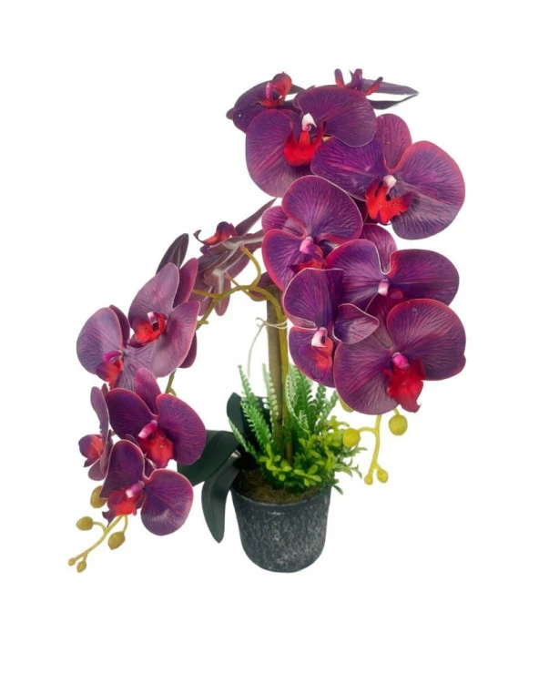 Nettenevime Yapay Çiçek 2li Mor Bordo Damarlı Islak Orkide Seramik Saksıda Orkide 60cm - 2