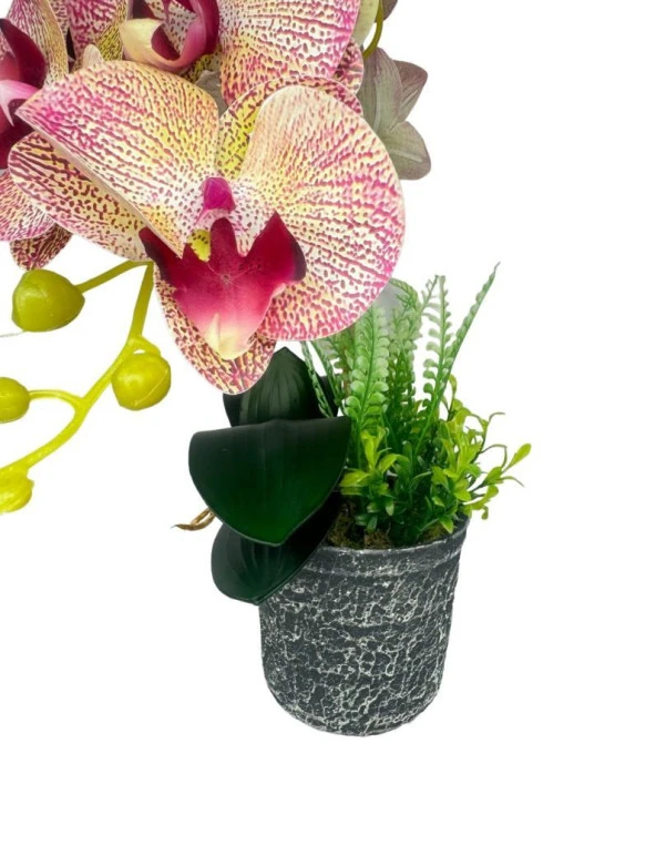 Nettenevime Yapay Çiçek 2li Pembe Damarlı Islak Orkide Seramik Saksıda Orkide 60cm - Resim 5