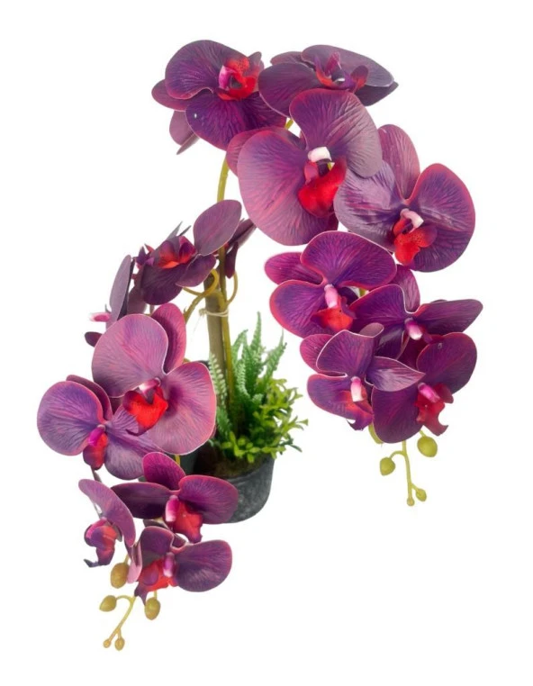 Nettenevime Yapay Çiçek 2li Mor Bordo Damarlı Islak Orkide Seramik Saksıda Orkide 60cm - 3